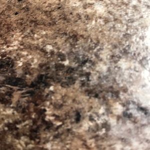 Meet your Posher, Starla